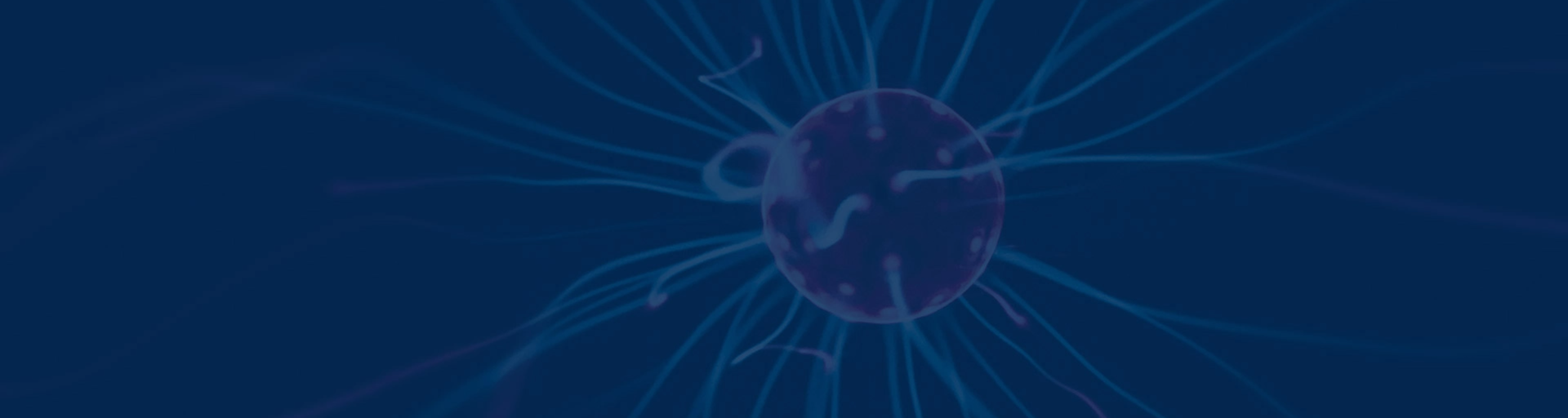 Strassenbeleuchtung Kloten